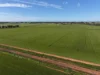 'Cleveland' 163 Holzigals Road, Finley, NSW 2713-Image