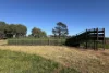 'Cleveland' 163 Holzigals Road, Finley, NSW 2713-Image