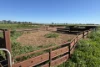 'Cleveland' 163 Holzigals Road, Finley, NSW 2713-Image