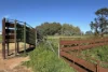 'Cleveland' 163 Holzigals Road, Finley, NSW 2713-Image