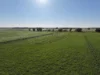 'Cleveland' 163 Holzigals Road, Finley, NSW 2713-Image