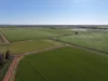 'Cleveland' 163 Holzigals Road, Finley, NSW 2713-Image