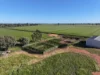 'Cleveland' 163 Holzigals Road, Finley, NSW 2713-Image