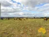 . Cnr Lanigan Road & East Nanango Grindstone Road, Glan Devon, Qld 4615-Image