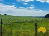 . Cnr Lanigan Road & East Nanango Grindstone Road, Glan Devon, Qld 4615-Image