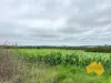 . Cnr Lanigan Road & East Nanango Grindstone Road, Glan Devon, Qld 4615-Image