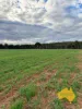 . Cnr Lanigan Road & East Nanango Grindstone Road, Glan Devon, Qld 4615-Image