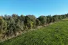 Cobden-Stonyford Road, Bostocks Creek, Vic 3260-Image