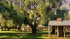 Cobwell Station Sandy Bridge Road, Barham, NSW 2732-Image