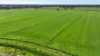 Cobwell Station Sandy Bridge Road, Barham, NSW 2732-Image