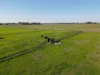 Curr Road, Tongala, Vic 3621-Image
