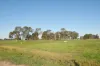 Curr Road, Tongala, Vic 3621-Image