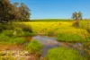 Dandaragan Road, Dandaragan, WA 6507-Image