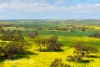 Dandaragan Road, Dandaragan, WA 6507-Image