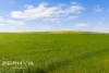 Dandaragan Road, Dandaragan, WA 6507-Image