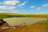 Dandaragan Road, Dandaragan, WA 6507-Image