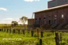 Dandaragan Road, Dandaragan, WA 6507-Image