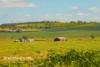 Dandaragan Road, Dandaragan, WA 6507-Image