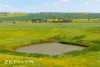 Dandaragan Road, Dandaragan, WA 6507-Image