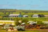 Dandaragan Road, Dandaragan, WA 6507-Image