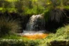 Dandaragan Road, Dandaragan, WA 6507-Image