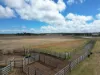 , Denmark WA 6333-Image