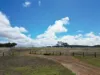 , Denmark WA 6333-Image