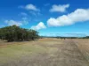 , Denmark WA 6333-Image