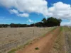 , Denmark WA 6333-Image