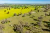“DUNOON”, Culcairn, NSW 2660-Image