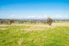 “DUNOON”, Culcairn, NSW 2660-Image