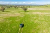 “DUNOON”, Culcairn, NSW 2660-Image