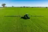 “DUNOON”, Culcairn, NSW 2660-Image