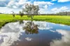 “DUNOON”, Culcairn, NSW 2660-Image