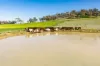 “DUNOON”, Culcairn, NSW 2660-Image