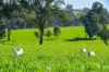 “DUNOON”, Culcairn, NSW 2660-Image