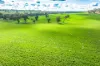 “DUNOON”, Culcairn, NSW 2660-Image