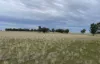 'East Gathan'/509 Gathan Road, Deniliquin NSW 2710-Image