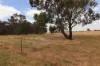 'East Gathan'/509 Gathan Road, Deniliquin NSW 2710-Image