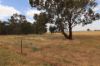 'East Gathan'/509 Gathan Road, Deniliquin NSW 2710-Image