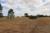 'East Gathan'/509 Gathan Road, Deniliquin NSW 2710-Image