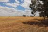 'East Gathan'/509 Gathan Road, Deniliquin NSW 2710-Image