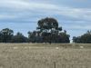 'East Gathan'/509 Gathan Road, Deniliquin NSW 2710-Image