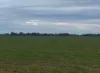 'East Gathan'/509 Gathan Road, Deniliquin NSW 2710-Image