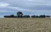 'East Gathan'/509 Gathan Road, Deniliquin NSW 2710-Image