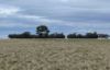 'East Gathan'/509 Gathan Road, Deniliquin NSW 2710-Image