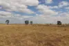 'East Gathan'/509 Gathan Road, Deniliquin NSW 2710-Image