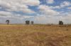 'East Gathan'/509 Gathan Road, Deniliquin NSW 2710-Image