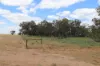 'East Gathan'/509 Gathan Road, Deniliquin NSW 2710-Image