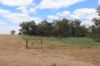 'East Gathan'/509 Gathan Road, Deniliquin NSW 2710-Image